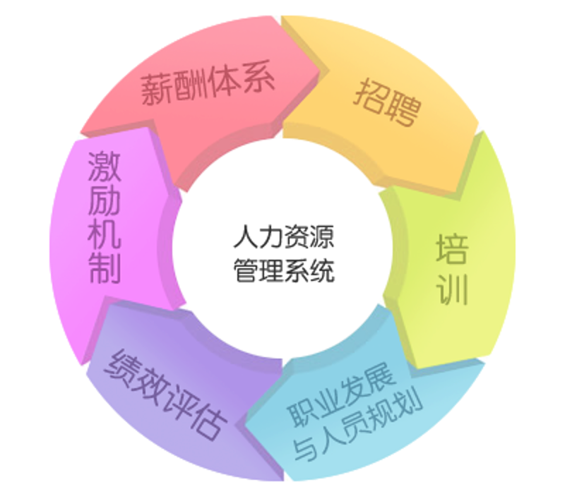 如何明智选择人力资源管理咨询机构